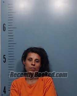Recent Mugshot Image for Felisita Villegas Donaghey in Taylor County, Texas