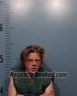 Recent Mugshot Image for Ashley Nicole Reavey in Taylor County, Texas