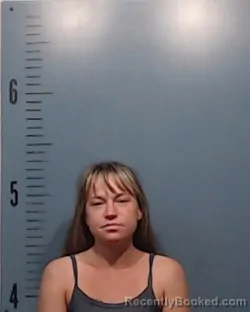 Recent Mugshot Image for Emaley Kay Link in Taylor County, Texas