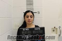 Recent Mugshot Image for RIANN GARCIA in Terry County, Texas