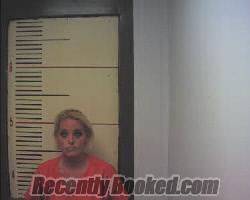 Recent Mugshot Image for AMY SUZANNE BATES in Van Zandt County, Texas