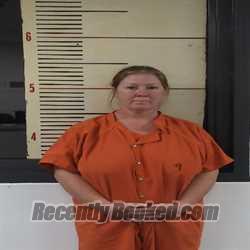 Recent Booking / Mugshot for AMY MICHELLE SEABOLT in Van Zandt County ...