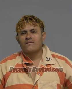 Recent Mugshot Image for JILMER ADIN ZETINO LOPEZ in Nassau County, Florida
