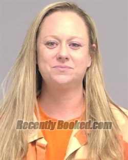 Recent Mugshot Image for SARAH LIZANN DEPALM in Nassau County, Florida