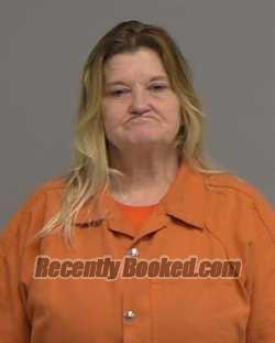 Recent Mugshot Image for TINA MICHELE MCCAIN in Nassau County, Florida