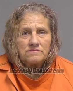 Recent Mugshot Image for DIANA LYNN HARRIS in Nassau County, Florida