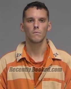 Recent Mugshot Image for DAVID WAYNE JOHNSON in Nassau County, Florida