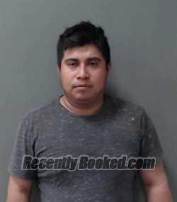 Recent Mugshot Image for Jose Delfino Mendoza-Hernandez in Waller County, Texas