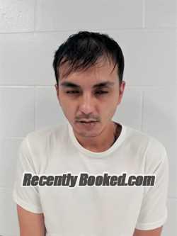 Recent Mugshot Image for LUAN AN NGUYEN in Okaloosa County, Florida