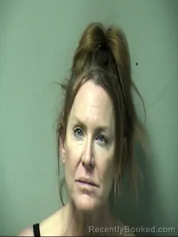 Recent Mugshot Image for PAULA ANN TODOSIJEVIC in Okaloosa County, Florida