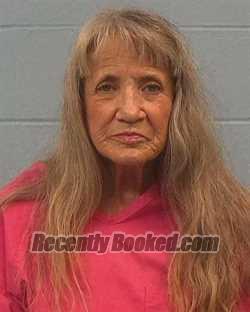 Recent Mugshot Image for Terri Lynn Tarter in Williamson County, Texas