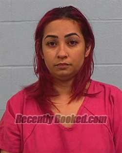 Recent Booking / Mugshot for Yuliet Torres Naranjo in Williamson County
