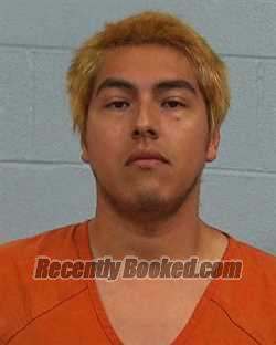 Luis Dumar Guzman Arrest Record & Booking Info – Williamson County ...