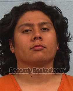 Recent Mugshot Image for Pedro Adan Santoyo in Williamson County, Texas