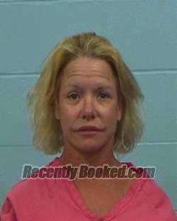 Recent Mugshot Image for Holly McWilliams Clark in Williamson County, Texas