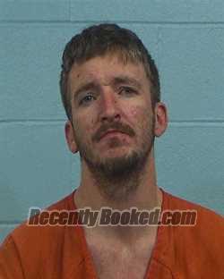 Recent Mugshot Image for Travis Hoerner in Williamson County, Texas