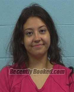 Recent Mugshot Image for Abigail Elizabeth Pierce in Williamson County, Texas