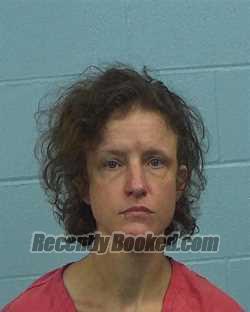 Recent Mugshot Image for Vanessa Renee Henize in Williamson County, Texas