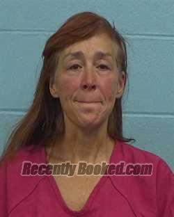 Recent Mugshot Image for Dawn Lynnette Savoy in Williamson County, Texas