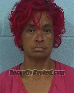 Recent Mugshot Image for Sylvia Cashea Wilder in Williamson County, Texas