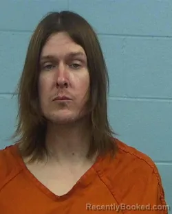 Recent Mugshot Image for Taylor Williams in Williamson County, Texas