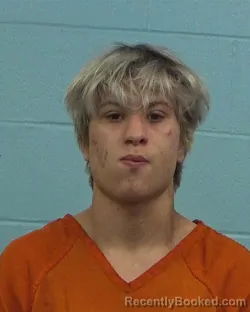 Recent Mugshot Image for Zachary Jaiden Phelps in Williamson County, Texas