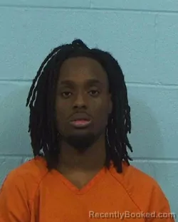 Recent Mugshot Image for Gbadegesih Oluwadamilola in Williamson County, Texas