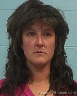 Recent Mugshot Image for Jennie Christine Anderson in Williamson County, Texas