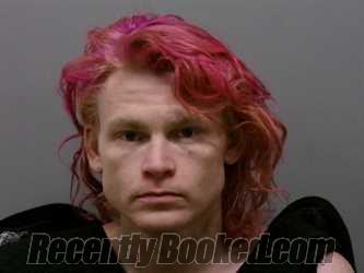 Recent Mugshot Image for ROBERT DANIEL in Wise County, Texas