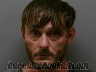 Recent Mugshot Image for MICHAEL SHANE BASS in Wise County, Texas