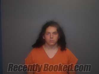 Recent Mugshot Image for JOSHUA Kyle-Wade WEEMS in Wood County, Texas