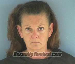 Recent Mugshot Image for MICHELLE ANN EGAN in Okeechobee County, Florida