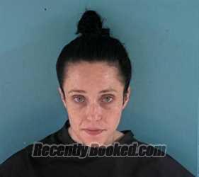 Recent Mugshot Image for HAYLEY STARR PALMISANO in Okeechobee County, Florida