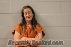 Recent Mugshot Image for HEATHER ANN GILLILAND in Bourbon County, Kansas