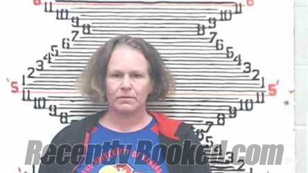 Recent Mugshot Image for Nicole Lynn Taylor in Brown County, Kansas
