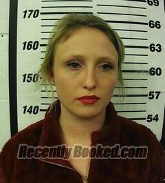Recent Booking / Mugshot for Magan Angelina Snyder in Cherokee County
