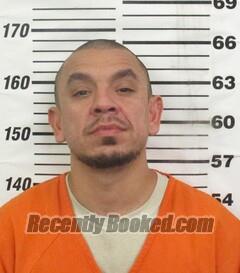 Recent Mugshot Image for Tyler Jo Martinez in Cherokee County, Kansas