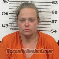 Recent Booking / Mugshot for Ashley Nicole Nichols in Cherokee County