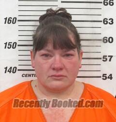 Recent Booking / Mugshot for Ashley Brooke Wendt in Cherokee County, Kansas