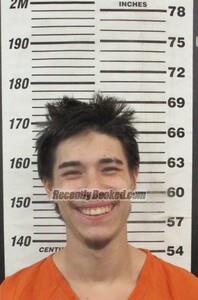 Recent Mugshot Image for Ryan Joe Burkholder in Cherokee County, Kansas