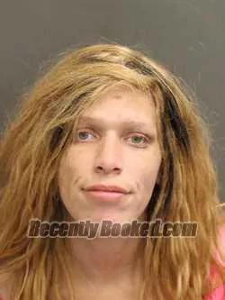 Recent Mugshot Image for DANIELLE THOMAS in Orange County, Florida
