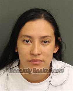 Recent Booking / Mugshot for ENNI YANERI CABALLEROSUCHITES in Orange