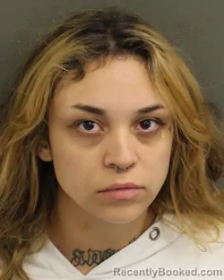 Recent Mugshot Image for ANNE MARIE AKSELL in Orange County, Florida