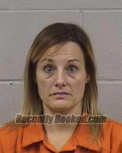 Recent Mugshot Image for JESSICA LYNN ANDERSON in Dickinson County, Kansas