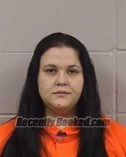 Recent Mugshot Image for TRAZEN TRINITY KATHARINA MCDONALD in Dickinson County, Kansas