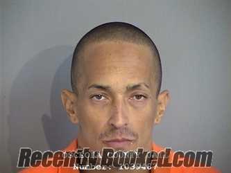 Recent Mugshot Image for ALCIDES PEREZ-IRIZARRY in Osceola County, Florida