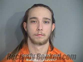 Recent Mugshot Image for LOGAN MITCHELL TIBBETTS in Osceola County, Florida