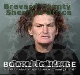 Recent Mugshot Image for Stephanie Ann Cross in Brevard County, Florida