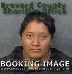 Recent Mugshot Image for RUTH GALLEGOS in Brevard County, Florida