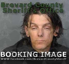 Recent Mugshot Image for DOMINIC CARMEN VENNERI in Brevard County, Florida